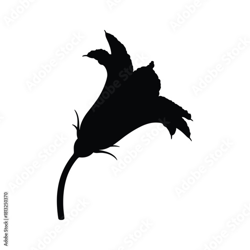 Black silhouette of a bell shaped flower with pointed petals and stem isolated