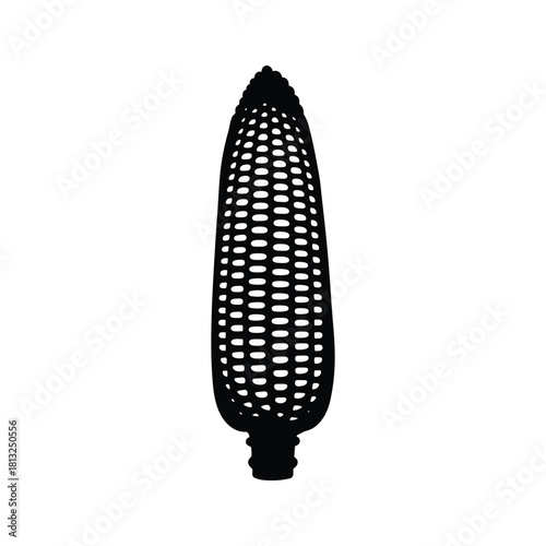 Black silhouette of a corn cob with oval kernel pattern on white maize white background