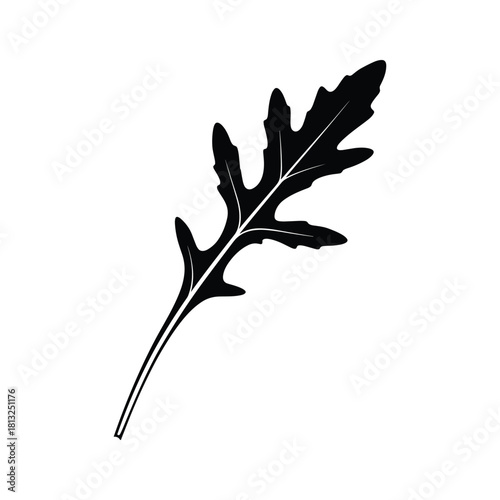 Black silhouette of a single arugula leaf with stem on white background vector