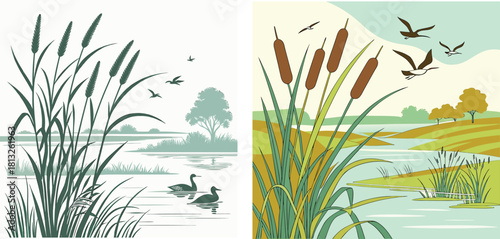Cattail Nature Scenery Illustration:Capturing the beauty of Cattails thriving in wetlands, evoking the charm of a natural, wild wetlands ecosystem, a perfect representation for environmental projects.