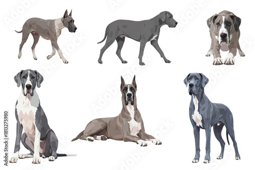 Great Dane Dog Isolated On White Background Flat Vector Illustration