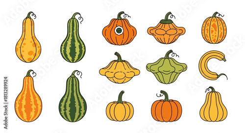 A colorful illustration of various gourds and pumpkins in different shapes and sizes, arranged in rows.