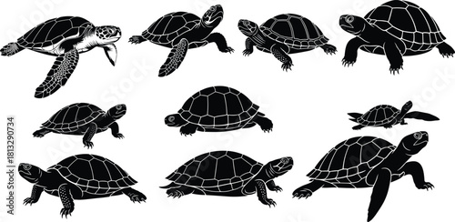 Ocean Sea Turtles and Terrestrial Tortoises Silhouettes Vector Set, Swimming and Crawling Reptiles, Wildlife, Conservation, and Slow Movement Graphic 