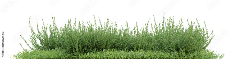Obraz premium 3d Green Grass in a Natural Outdoor Setting with Vibrant Vegetation and Peaceful Atmosphere