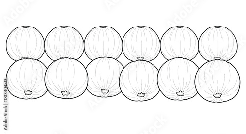 Hand drawn illustration of fig fruits isolated on white background
