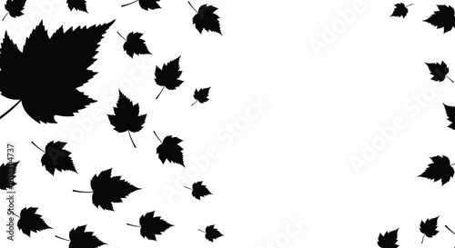 Silhouette vector of black autumn maple leaves falling and scattered across a white background, creating a seasonal frame or border, symbolizing nature, change, and the fall season.