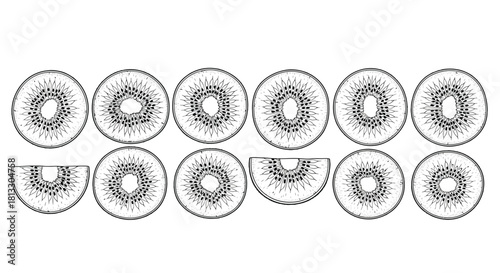 Kiwi fruit slices isolated on white background, hand drawn vector illustration