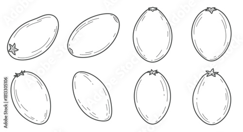 Hand drawn illustration of goji berry isolated on white background in row