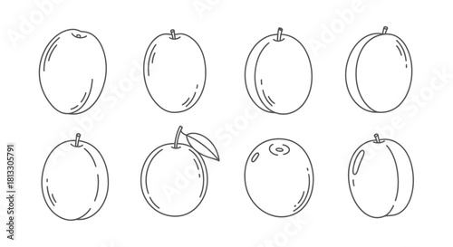 Hand drawn plum set isolated on white background, vector illustration