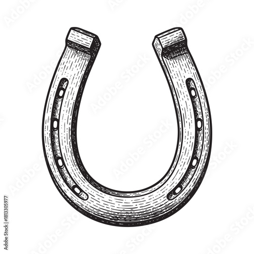 Metal Horseshoe Engraving Vector Illustration