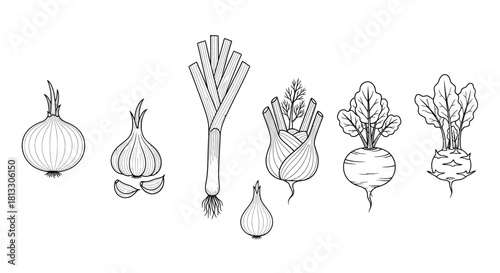Hand drawn sketch of different vegetables isolated on white background