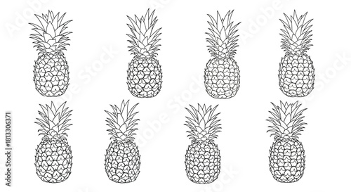 Hand drawn pineapple isolated on white background in sketch style design