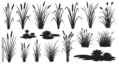 Collection of black silhouettes of reeds cattails and water lilies for creating pond or swamp landscapes in nature designs.