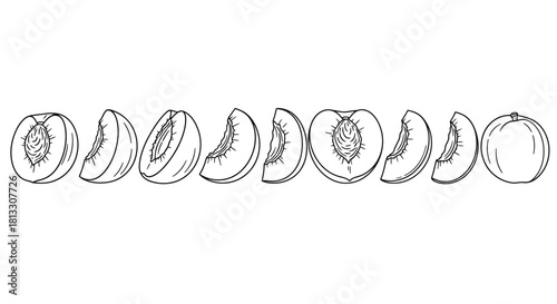 Hand drawn peach set isolated on white background, vector illustration