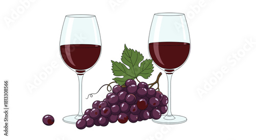 Two elegant glasses of red wine with a lush bunch of purple grapes on a vine for a sophisticated winery or tasting event.