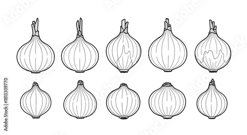 Collection of onions isolated on white background, a healthy and tasty vegetable