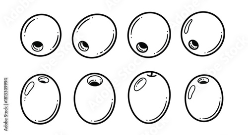 Set of eight olives isolated on white background, hand drawn vector illustration