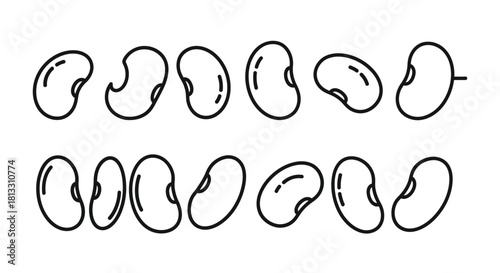 Hand drawn illustration of beans isolated on white background, vector format