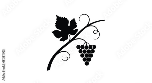 A simple black silhouette of a single grapevine with a leaf a tendril and a bunch of grapes for a minimalist wine logo.