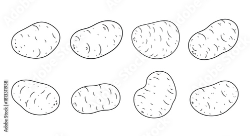 Hand drawn illustration of potatoes isolated on white background in black and white