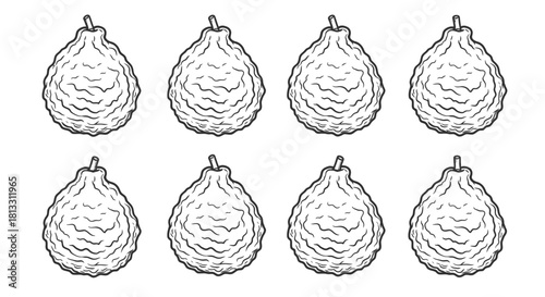Collection of buddhas hand fruit isolated on white background illustration