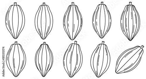 Hand drawn cacao beans isolated on white background in a group vector