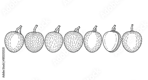 Hand drawn sugar apple fruits isolated on white background in a row