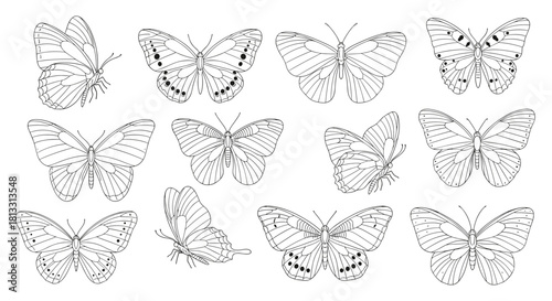 A collection of beautifully detailed butterfly and moth line art illustrations in various poses for a coloring book page.