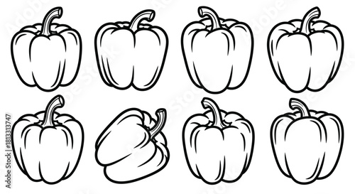 Set of bell pepper isolated on white background in black and white lines