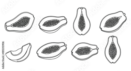 Collection of hand drawn papaya fruits isolated on white background
