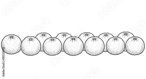 Row of eleven oranges isolated on white background in black and white style