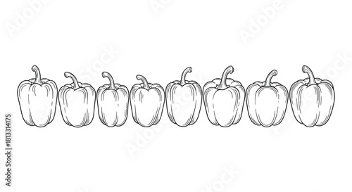 Row of bell peppers isolated on white background in hand drawn style