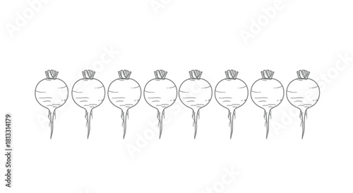 Hand drawn turnip set isolated on white background for design element