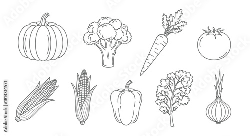 Hand drawn sketch of various vegetables isolated on white background