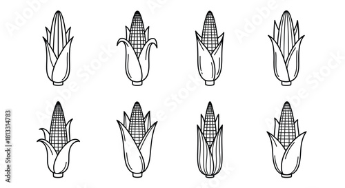 Hand drawn corn cob isolated on white background, vector illustration