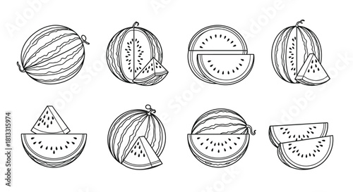 Watermelon sketch set isolated on white background, hand drawn illustration