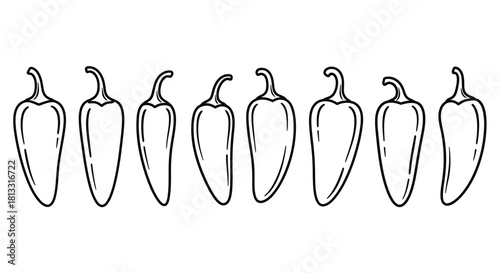 Jalapeno pepper line art illustration, isolated on white background