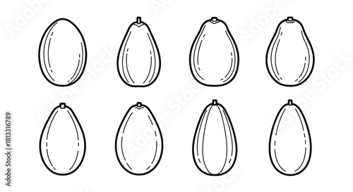 Collection of hand drawn avocado fruits isolated on white background