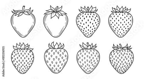 Strawberry outline drawing, a row of whole berries isolated on white background