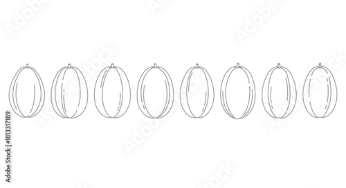 Hand drawn gooseberry isolated on white background in a row