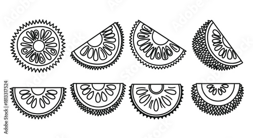 Hand drawn illustration of sliced durian isolated on white background