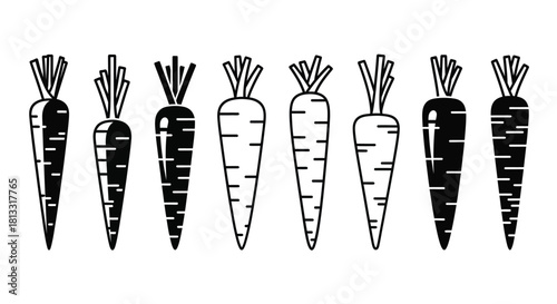 Black and white carrot collection isolated on white background for design element