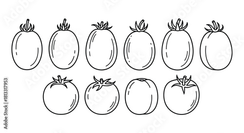 Hand drawn set of different tomato varieties isolated on white background