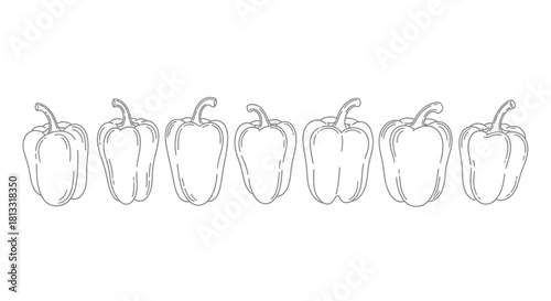 Row of bell peppers isolated on white background in hand drawn style
