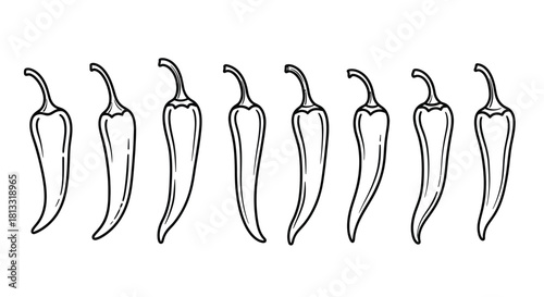 Hand drawn illustration of a row of chili peppers isolated on white background