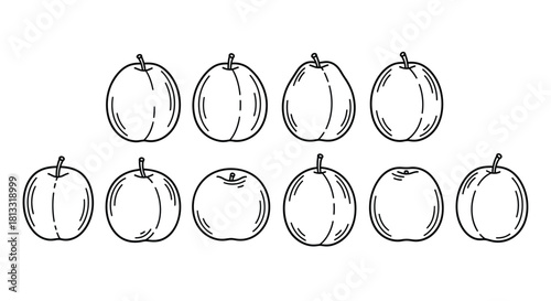 Hand drawn apple illustration isolated on white background in vector format