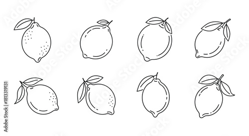 Hand drawn lemon fruits with leaves isolated on white background