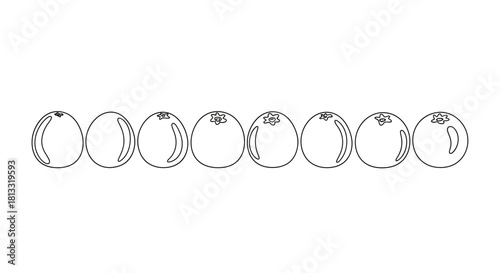 Hand drawn illustration of orange isolated on white background