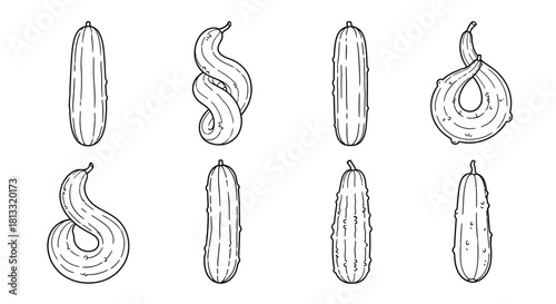 Collection of different types of cucumbers isolated on white background