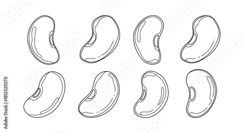 Hand drawn illustration of kidney beans isolated on white background